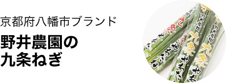 野井農園の九条ねぎ